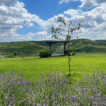 تشيسيناو Colina Verde Resort المظهر الخارجي الصورة